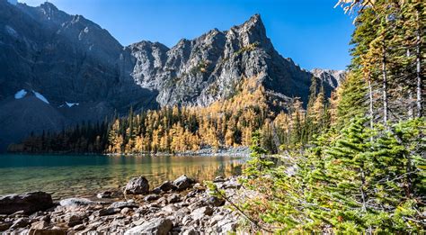 Arnica Lake Trail Hike Banff National Park July Dreamer