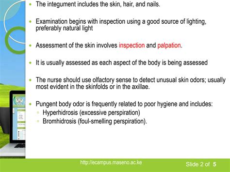 SOLUTION Examination Of The Integumentary Perivascular And