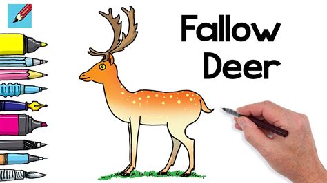 How To Draw A Fallow Deer Real Easy Youtube