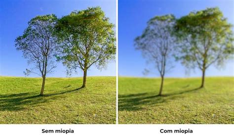 Como Podemos Identificar A Paisagem Sem O Sentido Da Visão - Como é a visão de quem tem miopia? | Central da Visão
