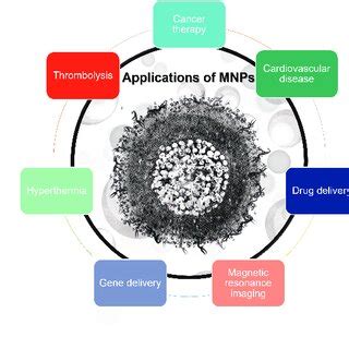 A mix of different applications of magnetic nanoparticles (MNPs) in ...