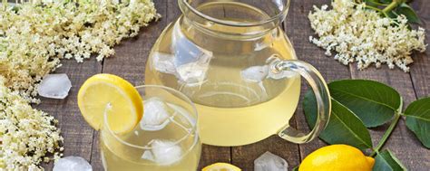 Recette De La Limonade Aux Fleurs De Sureau Fra Ches