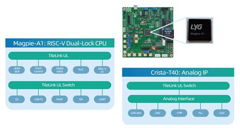 车用mcu Lyg Semi