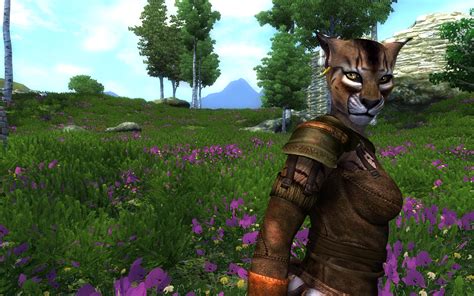 Khajiit at Oblivion Nexus - mods and community