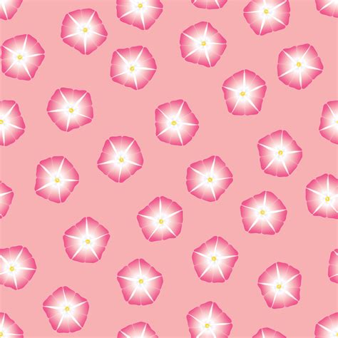 Pink Morning Glory Flower on Pink Background 5129233 Vector Art at Vecteezy