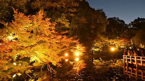 【愛知県】徳川園で、ライトアップ期間に紅葉鑑賞。 世界の癒し・楽園空間を巡る旅