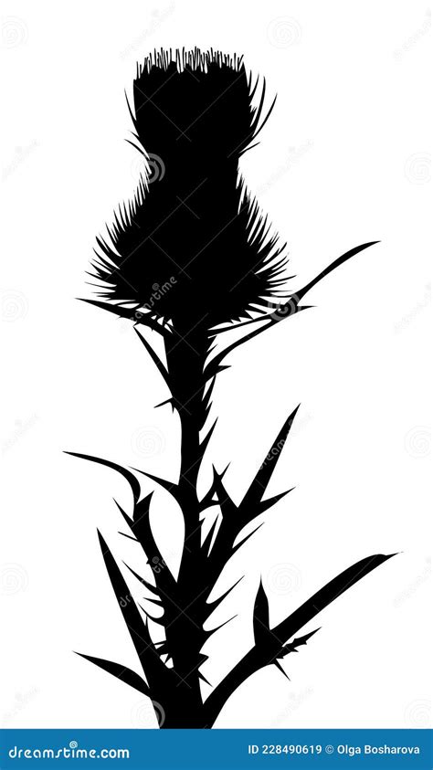 Silhouette Of Thistle Pattern With Cross Sword Cartoon Vector