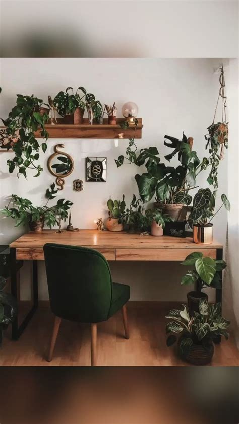 Plant Aesthetic for Living Room Decor