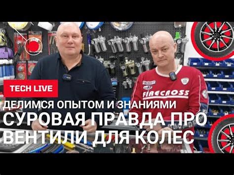 Виды золотников для шин (8 видео) | Технологии | AltArena.ru