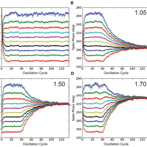 Simulations With Stdp And Input Oscillations A Control Simulation