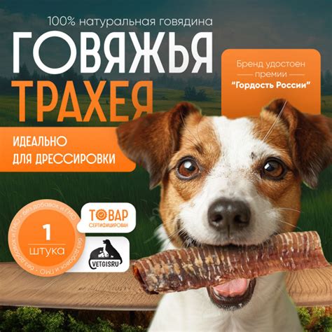 Вкусняшки "Трахея говяжья целая", деревенские лакомства для собак ...