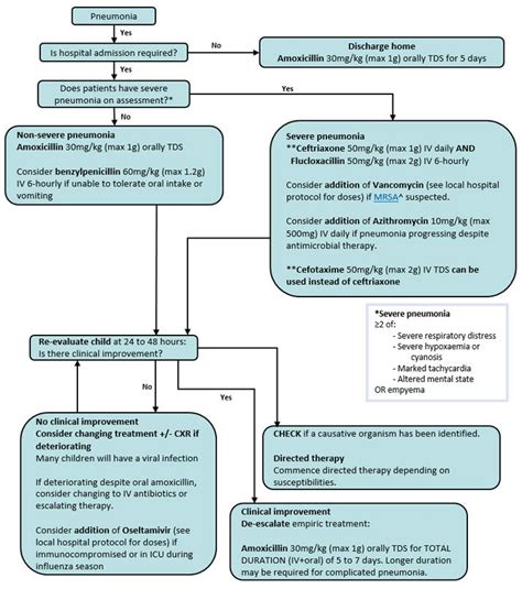 Aspiration Pneumonia Antibiotic Treatment