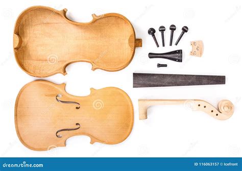 Violin parts stock image. Image of fingerboard, wooden - 116063157