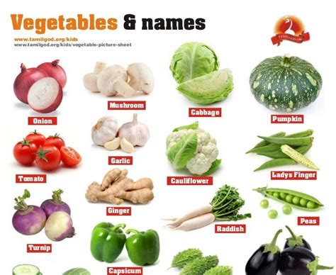 Vegetables Names In Tamil And English With Pictures