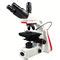 Biological Microscope BMC100 Series Phenix Optics Co Ltd