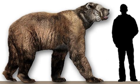 Short Faced Bear Vs Smilodon