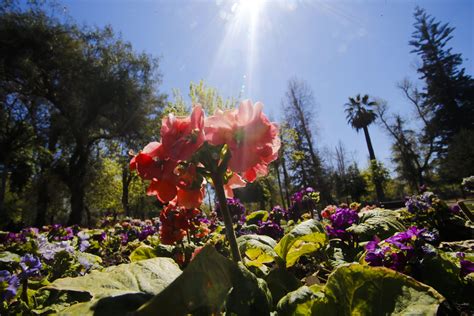 ¿Cuándo comenzará la primavera en Chile?