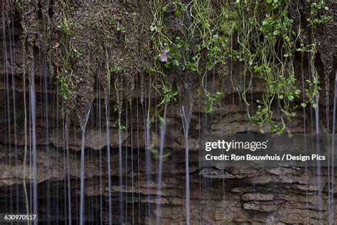 Halton Region Photos And Premium High Res Pictures Getty Images