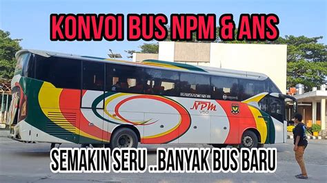 Persaingan Semakin Panas Antar Bus Padang Bus Miyor Dan Bus Al Hijrah