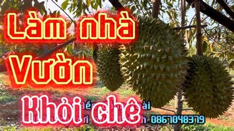 Chủ Ngợp Cần Bán Mảnh đất Mặt đường Qh24m Có Sầu Riêng Xã đồng Tâm đồng