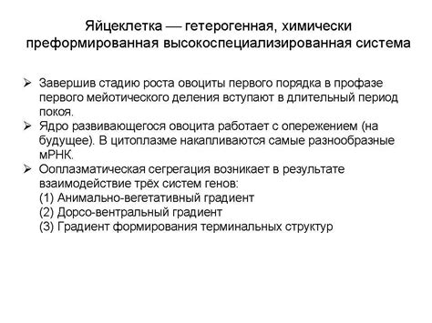 вся гиста(лекции)