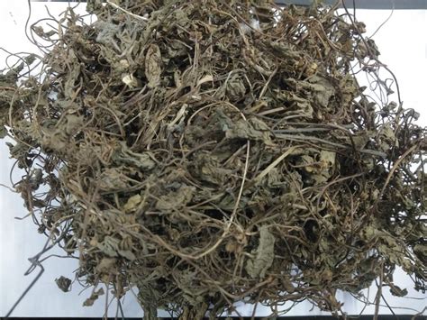 Green Dry Bringaraj Leaves Packaging Type Loose Grade A Grade At Rs