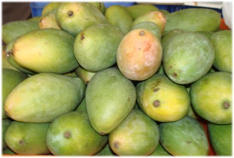 Indian Mango Varieties