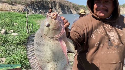 Pesca Con Anzuelo En El Río Y La Presa Con Amigos De Irapuato Youtube