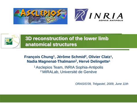 Pdf 3d Reconstruction Of The Lower Limb Anatomical Structures