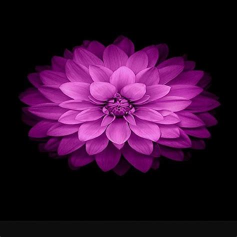 Amazon Naked Chaz Thartist Digital Music