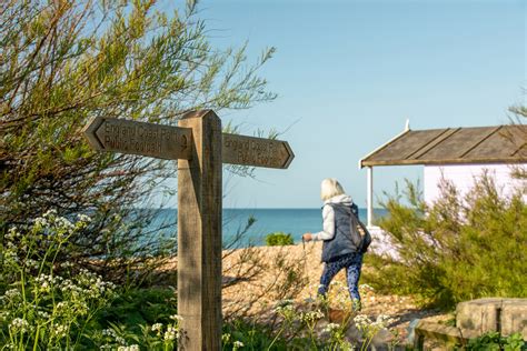 Ecclesden Park: New homes in Angmering, West Sussex | David Wilson Homes