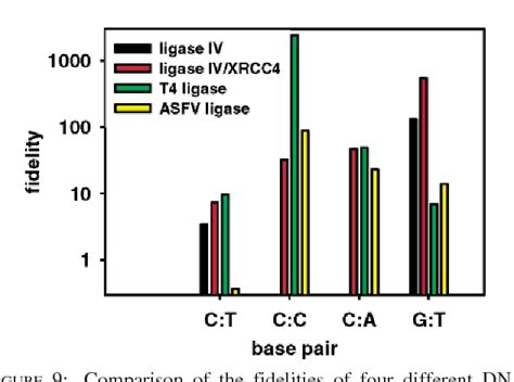 Figure From Human Dna Ligase Iv And The Ligase Iv Xrcc Complex