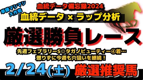 血統傾向データとラップ分析で徹底予想！2月24日（土）厳選勝負レース推奨馬大公開！競馬 競馬予想 血統 競馬動画まとめ