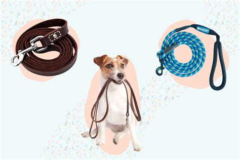 The 8 Best Dog Leashes of 2022