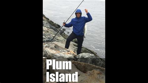 Plum Island Fishing 2017 Youtube