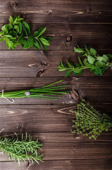 449 Herbs Names Stock Photos Free And Royalty Free Stock Photos From