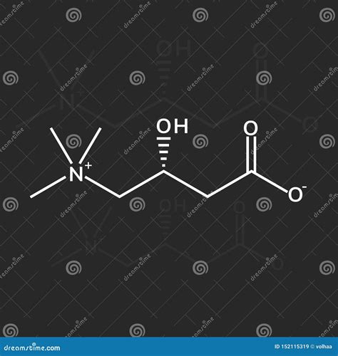 L Carnitine Chemical Formula Stock Vector Illustration Of Burner