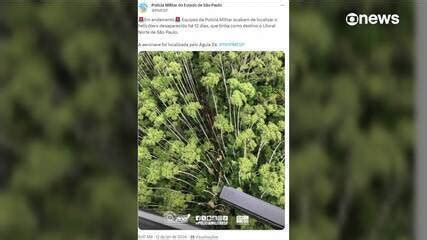 Helicóptero que caiu em área de mata em SP ficou completamente