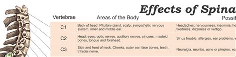 Effects Of Spinal Subluxation Poster 24 X 36