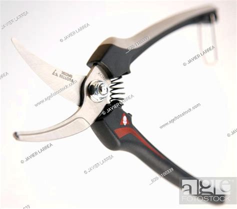 Pruning shears, Stock Photo, Picture And Rights Managed Image. Pic. B20 ...