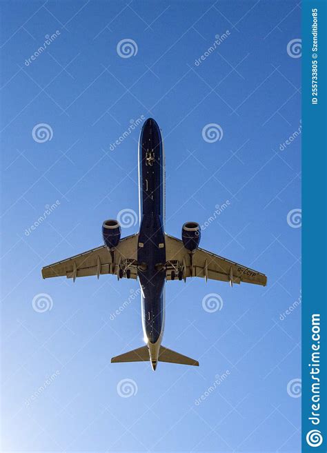 Airplane Landing at the Airport Stock Image - Image of flower, tree ...