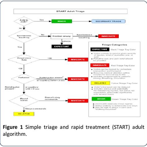 Pdf Tabletop Exercise On Mass Casualty Incident Triage Does It Work