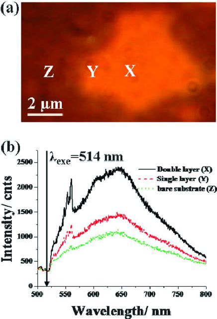 A An SEF Image Of A Layered Gold Nanostructure Adsorbed With CV The