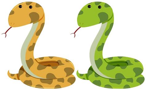 Serpiente De Cascabel Fotos Y Vectores Gratis