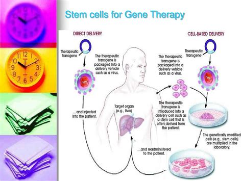understanding stem cell therapy definitions types