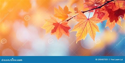 Maple Tree Leaves Fall Autumn Season Ai Stock Illustration