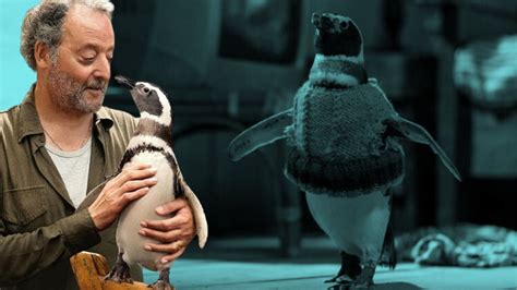 My Penguin Friend (2024) | MovieWeb