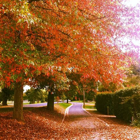 5 Reasons You Need To Visit Melbourne In Autumn