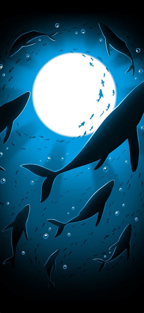 Underwater Ocean Wallpaper For Iphone 12 Pro Max - Infoupdate.org