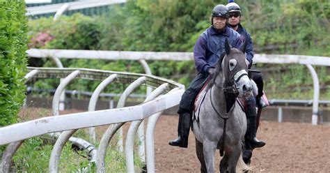 【オークス】コガネノソラは3連勝中と勢い抜群 菊沢師「道悪にでもなれば、楽しみは増します」 サンスポzbat